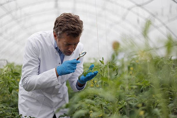 Mise à jour des Nations Unies sur la sécurité alimentaire des engrais, juin 2026 : risques d'approvisionnement modérés
