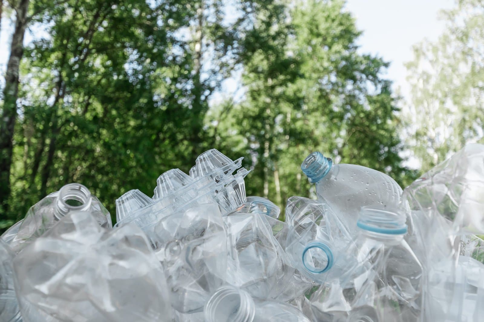 Les déchets de polyéthylène pourraient appartenir au passé