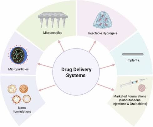Demande d'ingrédients pour les soins de santé : l'expansion du médicament oral GLP-1 entraîne une hausse de l'offre de HPMC et de Coating Shell