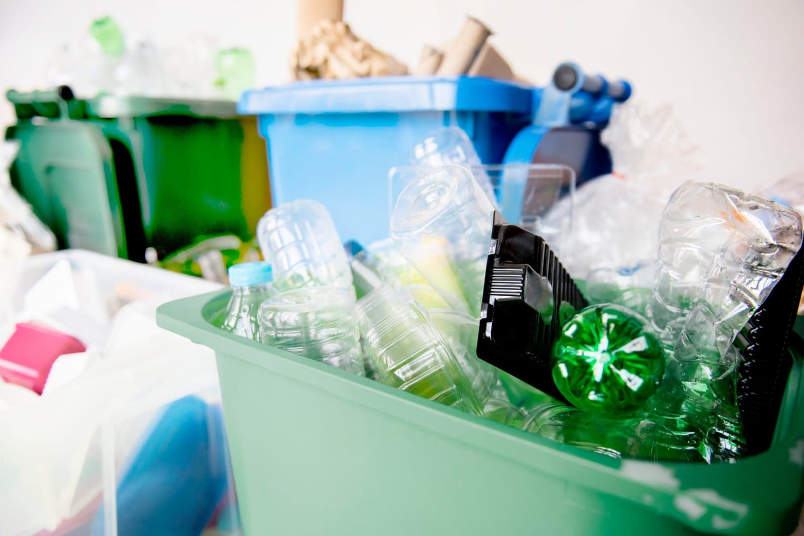 Les bioplastiques à l'honneur : les marques font preuve de prudence face aux préoccupations liées à la biodiversité et au recyclage