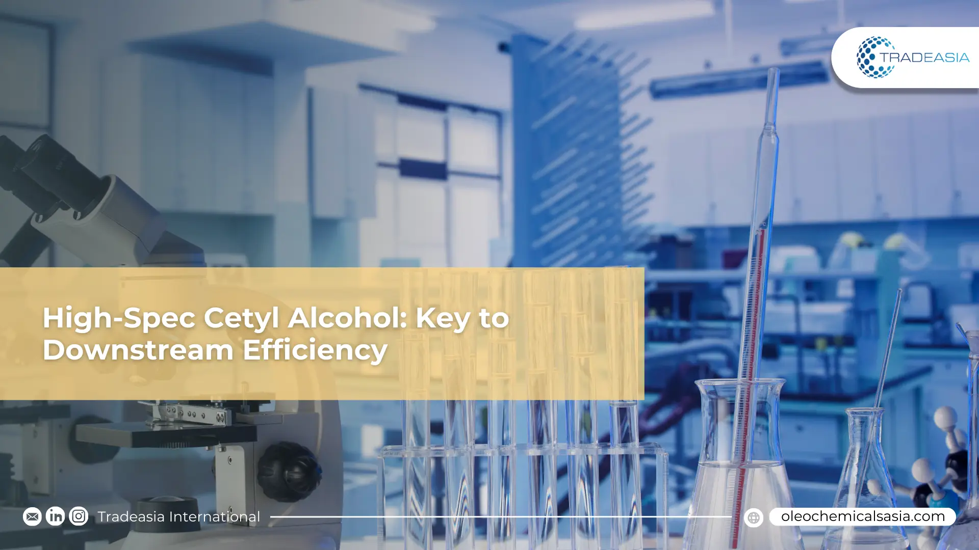 Alcool cétylique de haute qualité pour une efficacité accrue en aval
