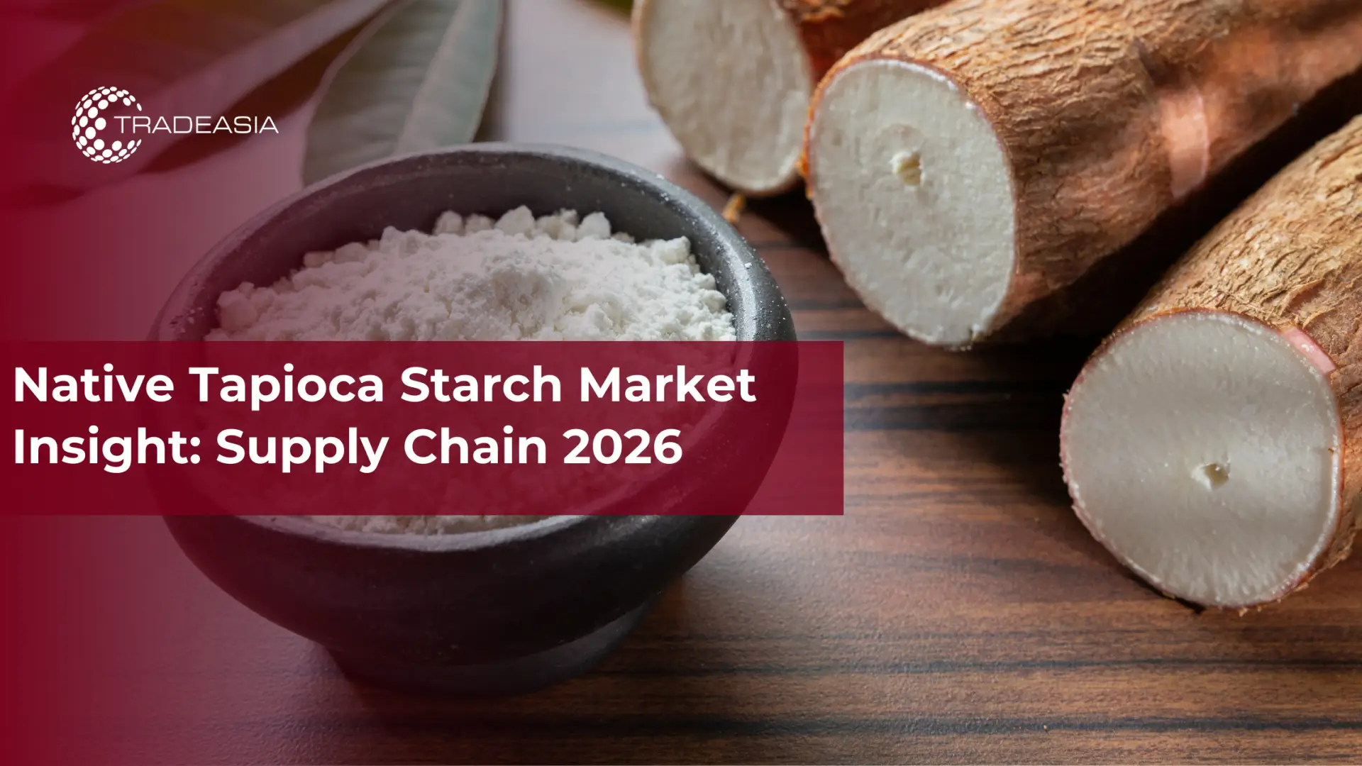 Aperçu du marché de l'amidon de tapioca indigène : chaîne d'approvisionnement 2026