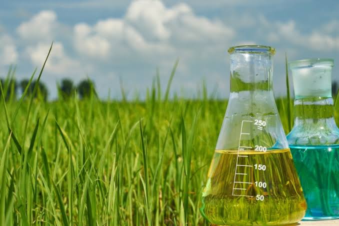 Redémarrage de la production d'ammoniac au Bangladesh : évaluation gouvernementale et mise à jour de l'ONU sur la sécurité alimentaire