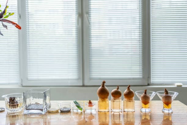 La science olfactive d'Osmo et l'avenir de la conception d'ingrédients à saveur adjacente