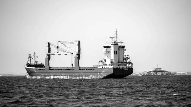 L'indice Baltic Dry chute à son plus bas niveau en deux semaines, mettant à rude épreuve le transport en vrac