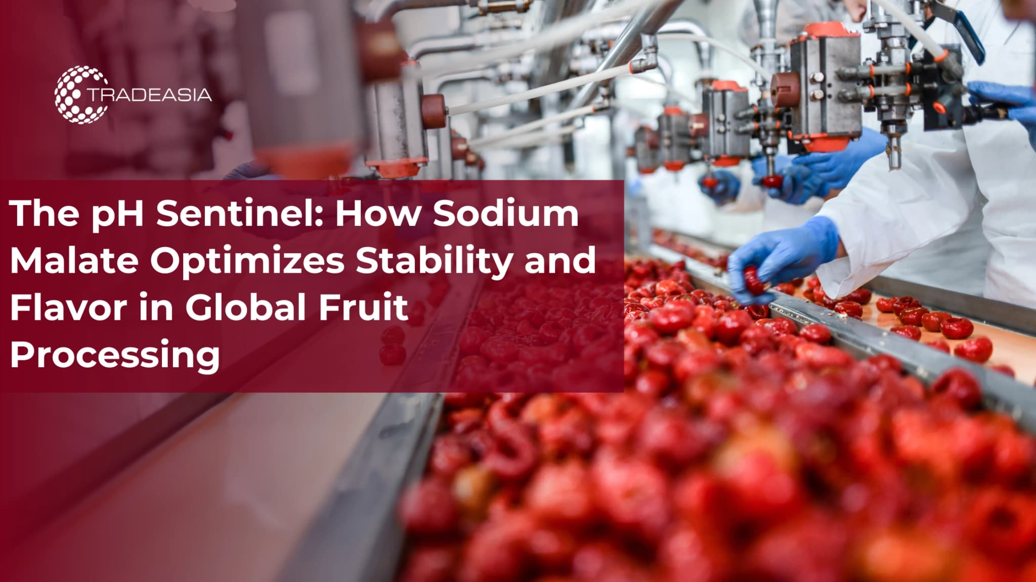 The pH Sentinel : comment le malate de sodium optimise la stabilité et la saveur dans la transformation mondiale des fruits