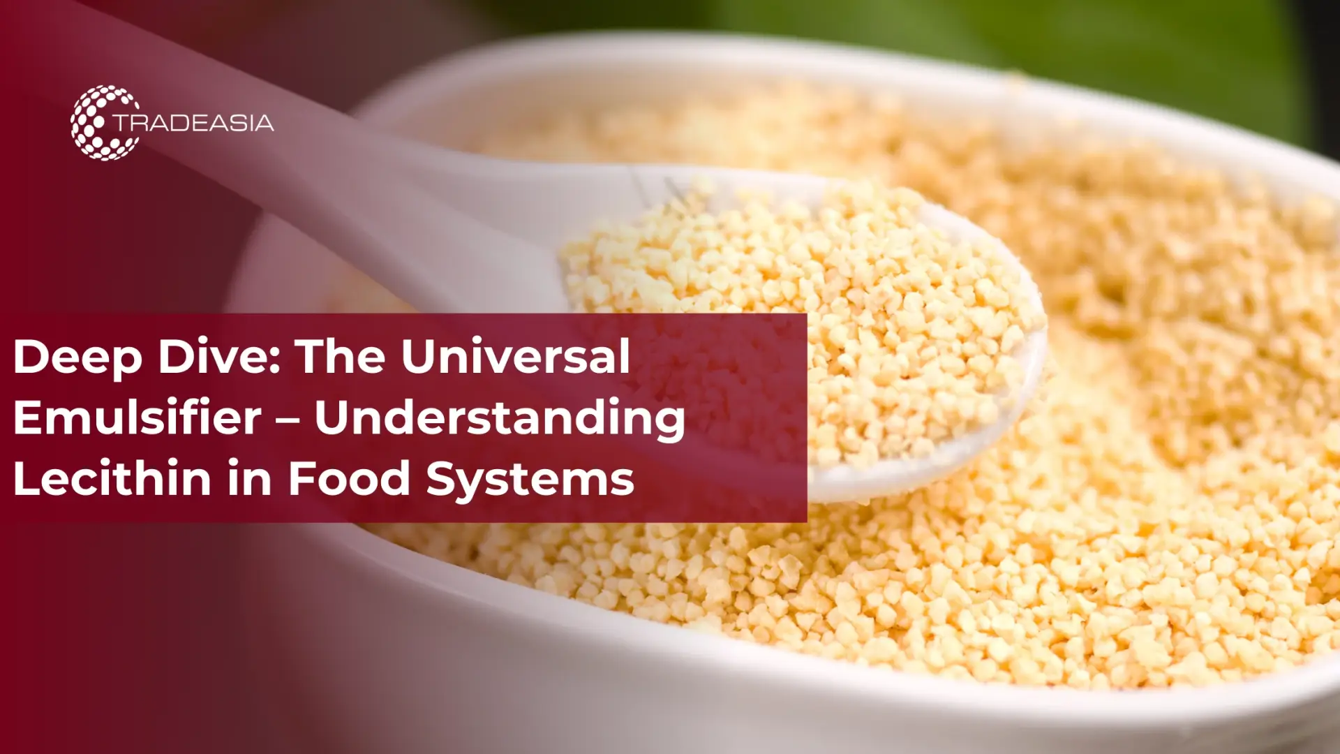 Deep Dive : L'émulsifiant universel — Comprendre la lécithine dans les systèmes alimentaires