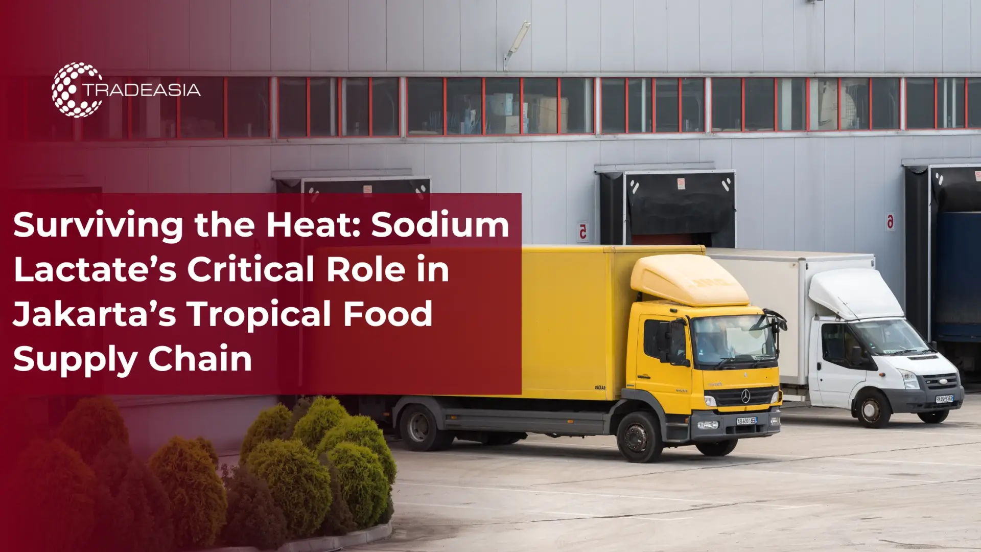 Survivre à la chaleur : le rôle essentiel du lactate de sodium dans la chaîne d'approvisionnement alimentaire tropicale de Jakarta