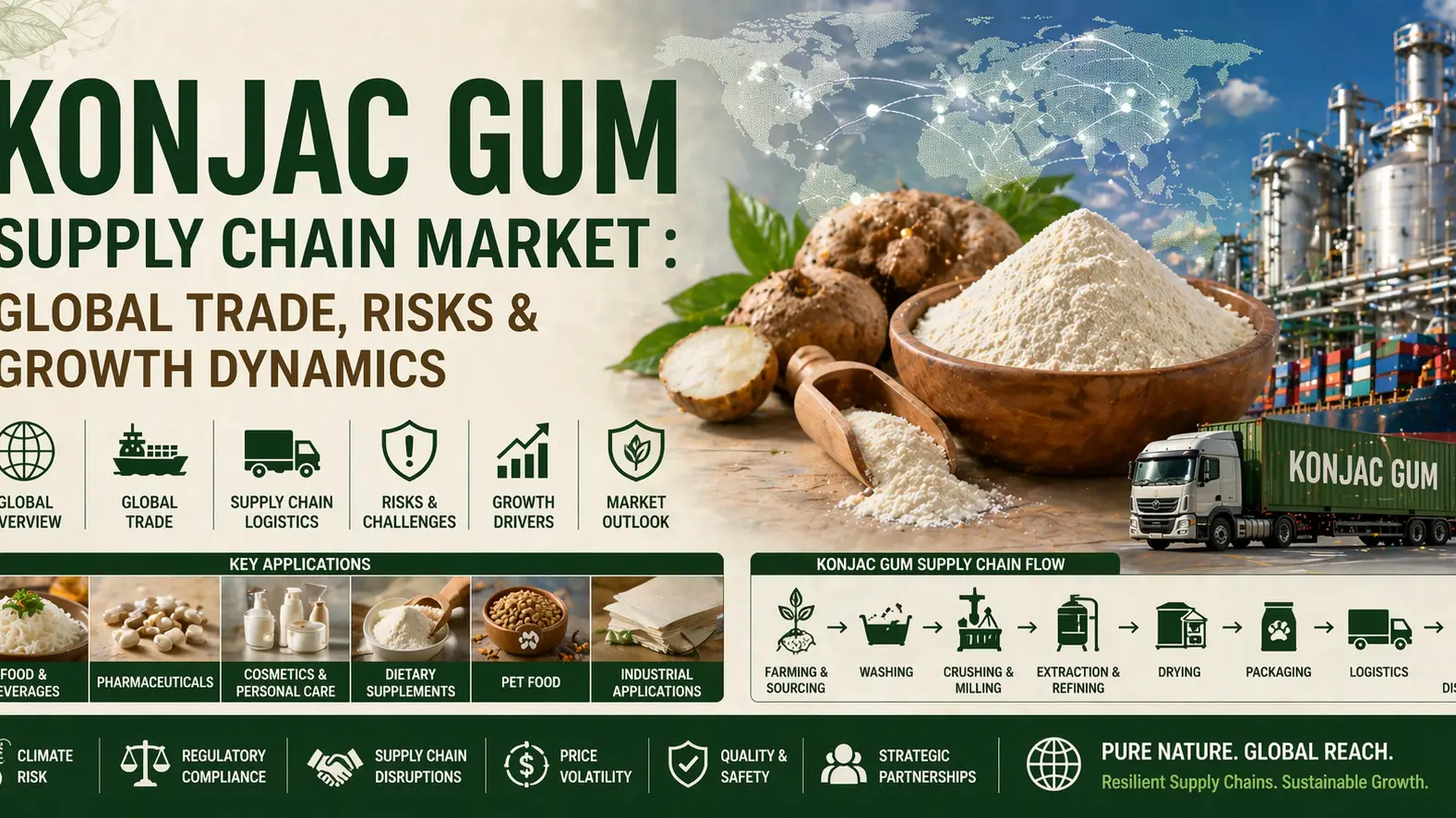 Marché de la chaîne d'approvisionnement en gomme de konjac : commerce mondial, risques et dynamique de croissance