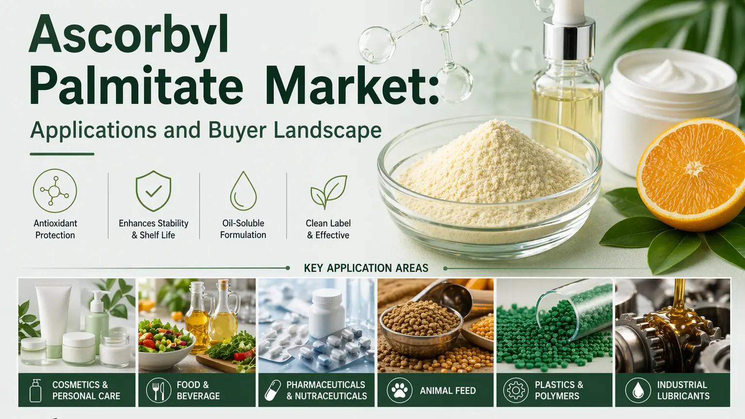 Marché du palmitate d'ascorbyle : applications et paysage des acheteurs