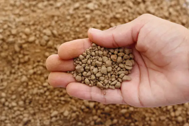 India DAP Tender Oversubscribed: Signals for Global Phosphate Prices