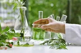 Ras Tanura Restart Fuels Q3 Export Surge for Saudi Chemical Industry