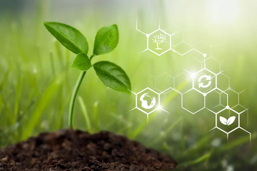 Biocarburants