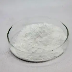 Purified Terephthalic Acid